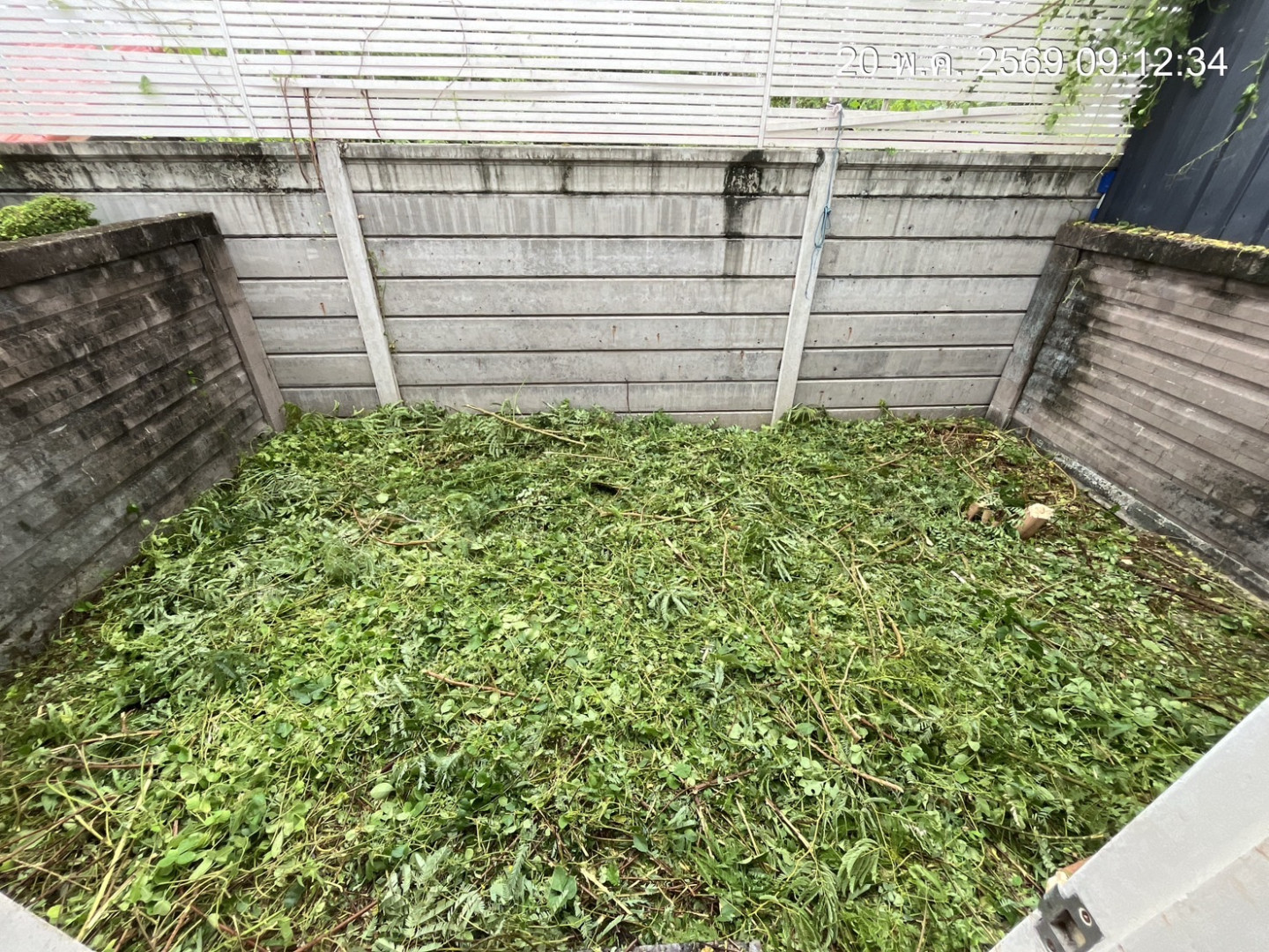 property_1779248724120.jpg