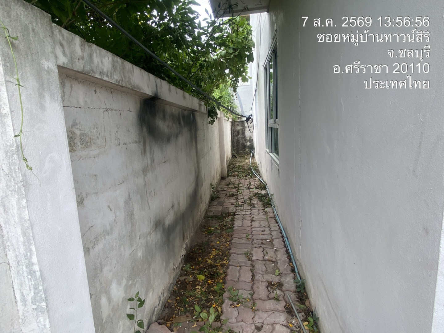 property_1786089120426.jpg