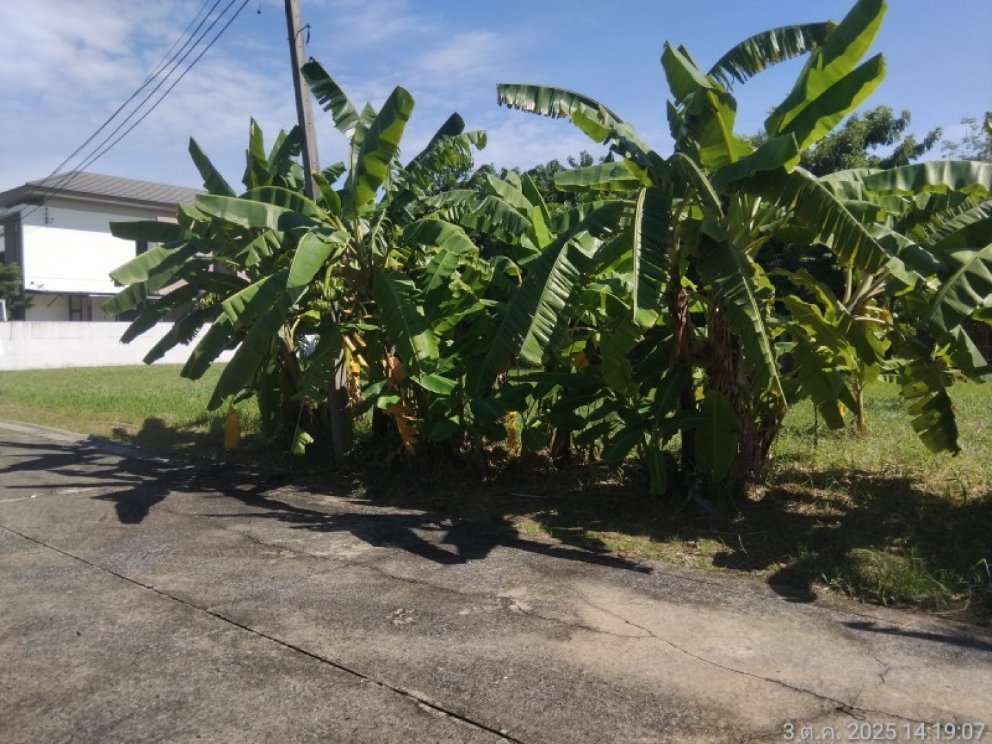 property_1759889027594.jpg