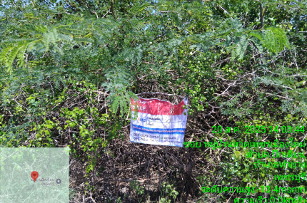 property_1756260580784.jpg