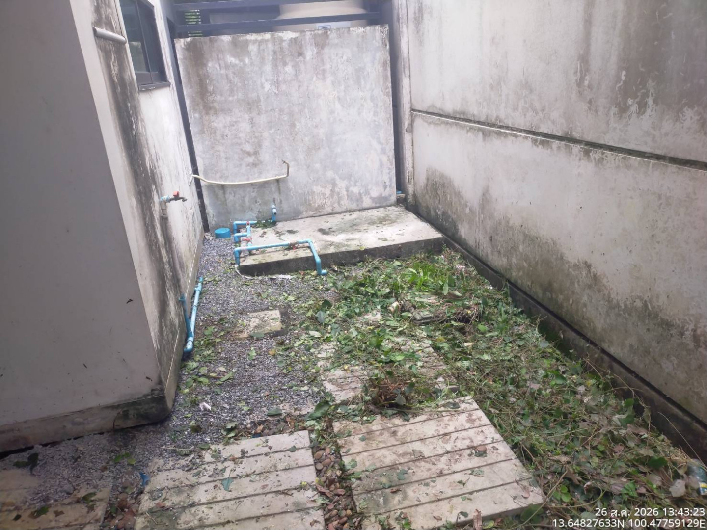 property_1787731508681.jpg
