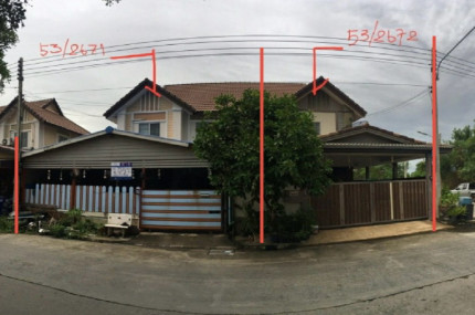 พฤกษา 20 (AN 2896)