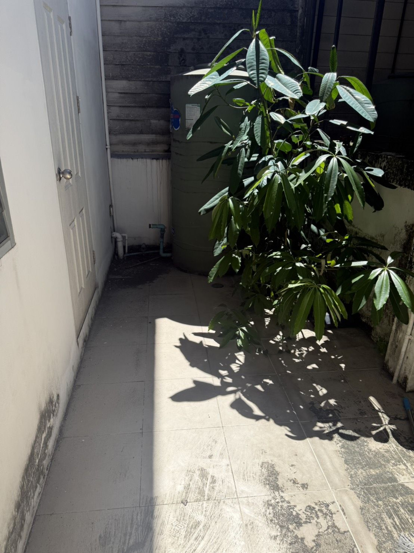 property_1781080813349.jpg