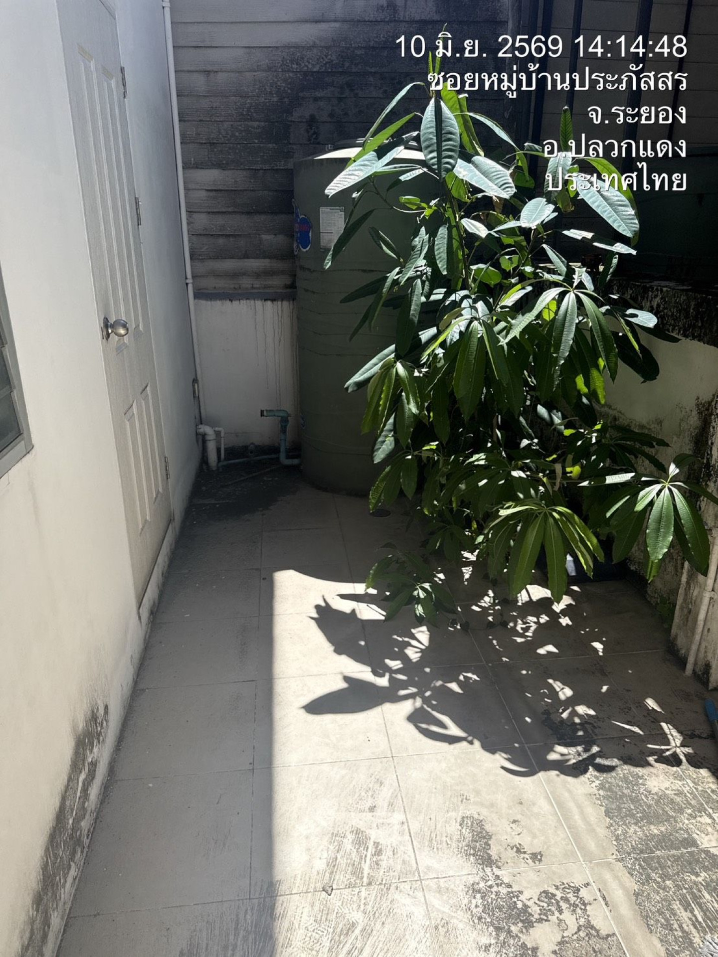 property_1781080819019.jpg