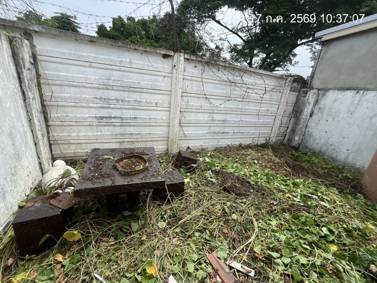 property_1784269048884.jpg