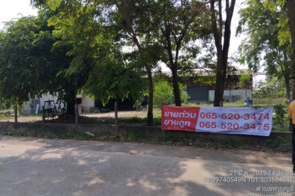 โรงงาน ซอยเทศบาล 15 แยกจากถนนสายเกาะโพธิ์-เกาะจันทร์ (ทล.3246)