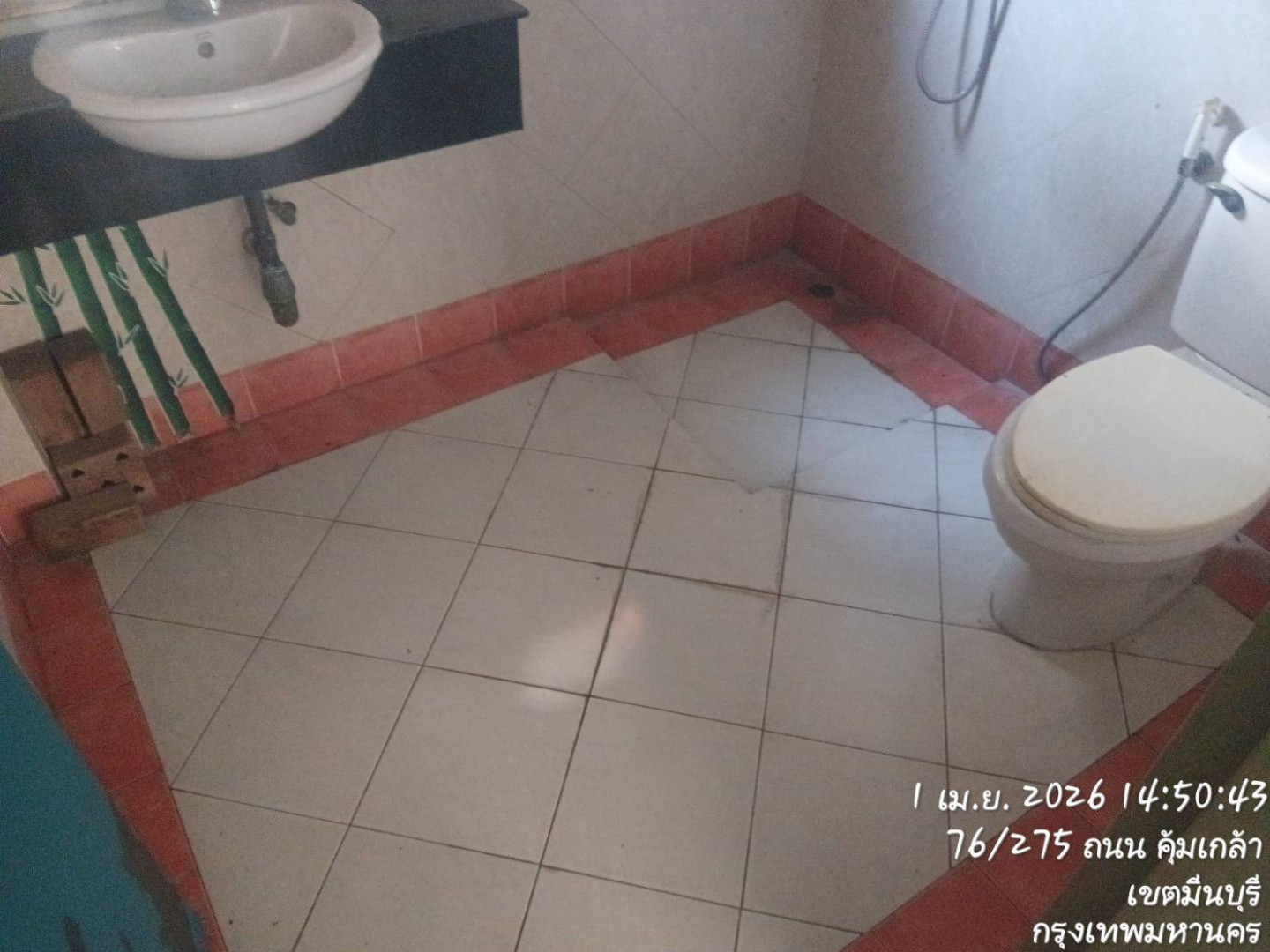 property_1775102925854.jpg