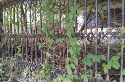 property_1755493695868.jpg