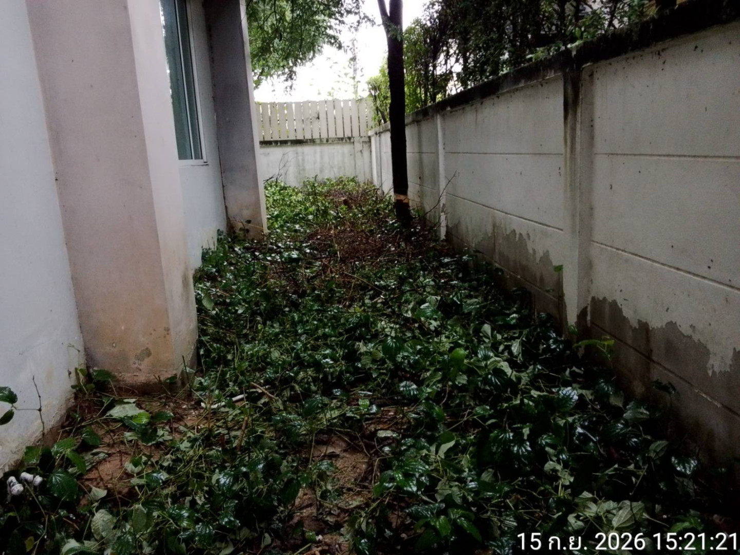 property_1789618912988.jpg