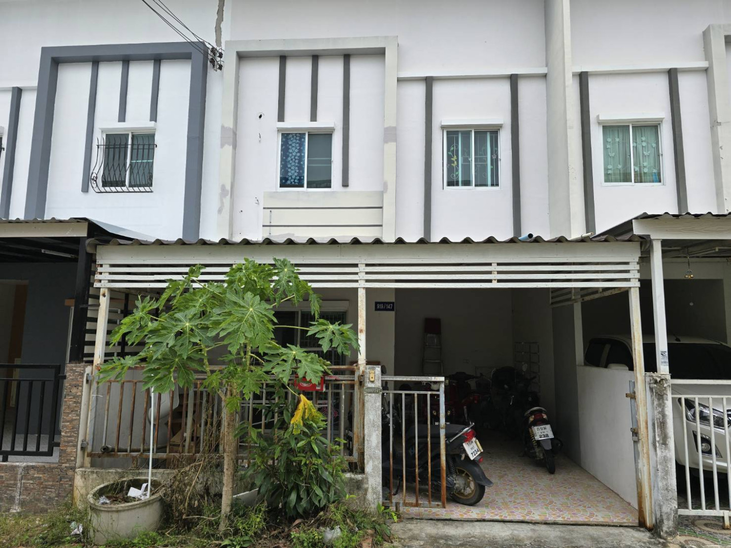 โครงการไลโอนอฟ
