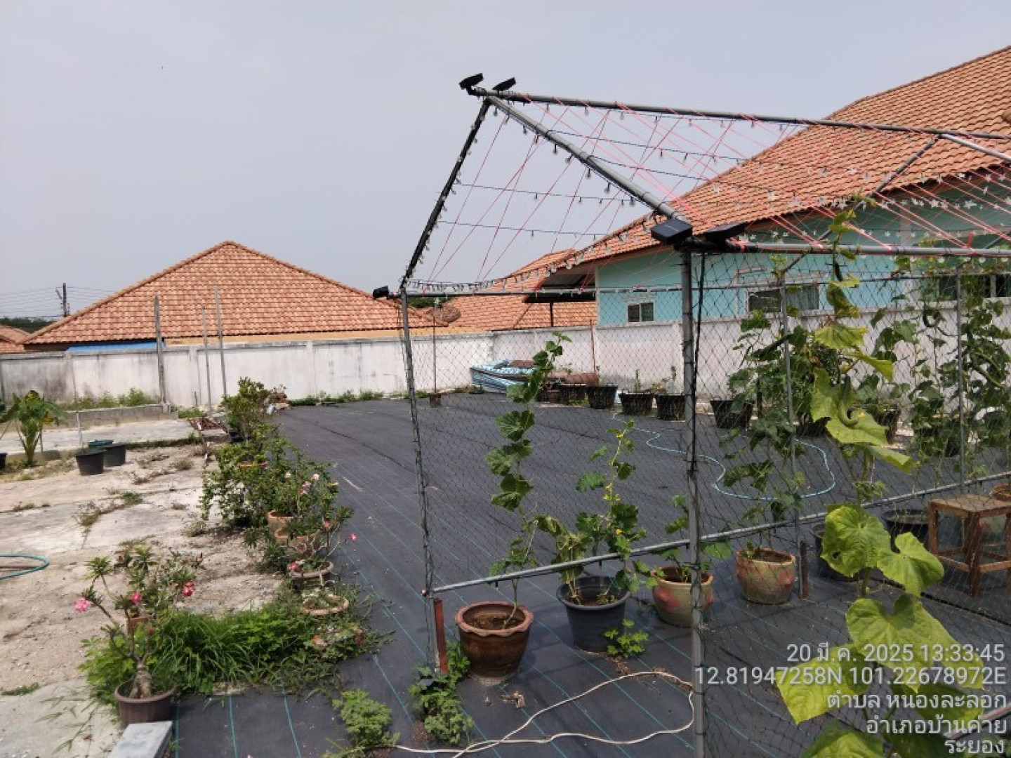 property_1759472206536.jpg