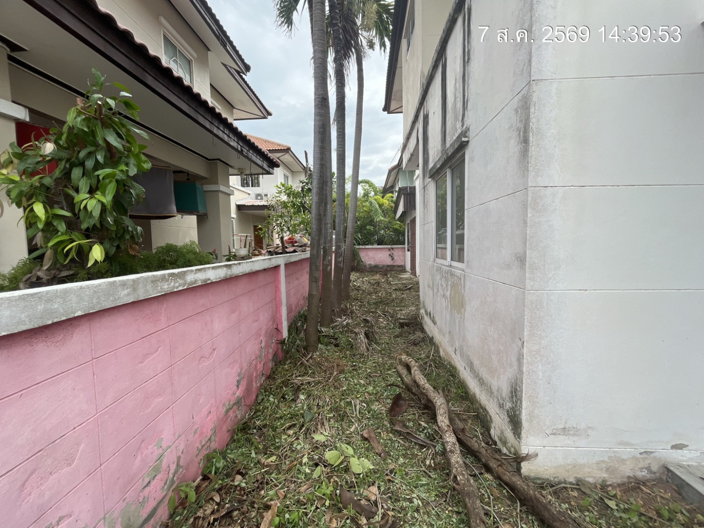 property_1786095580608.jpg