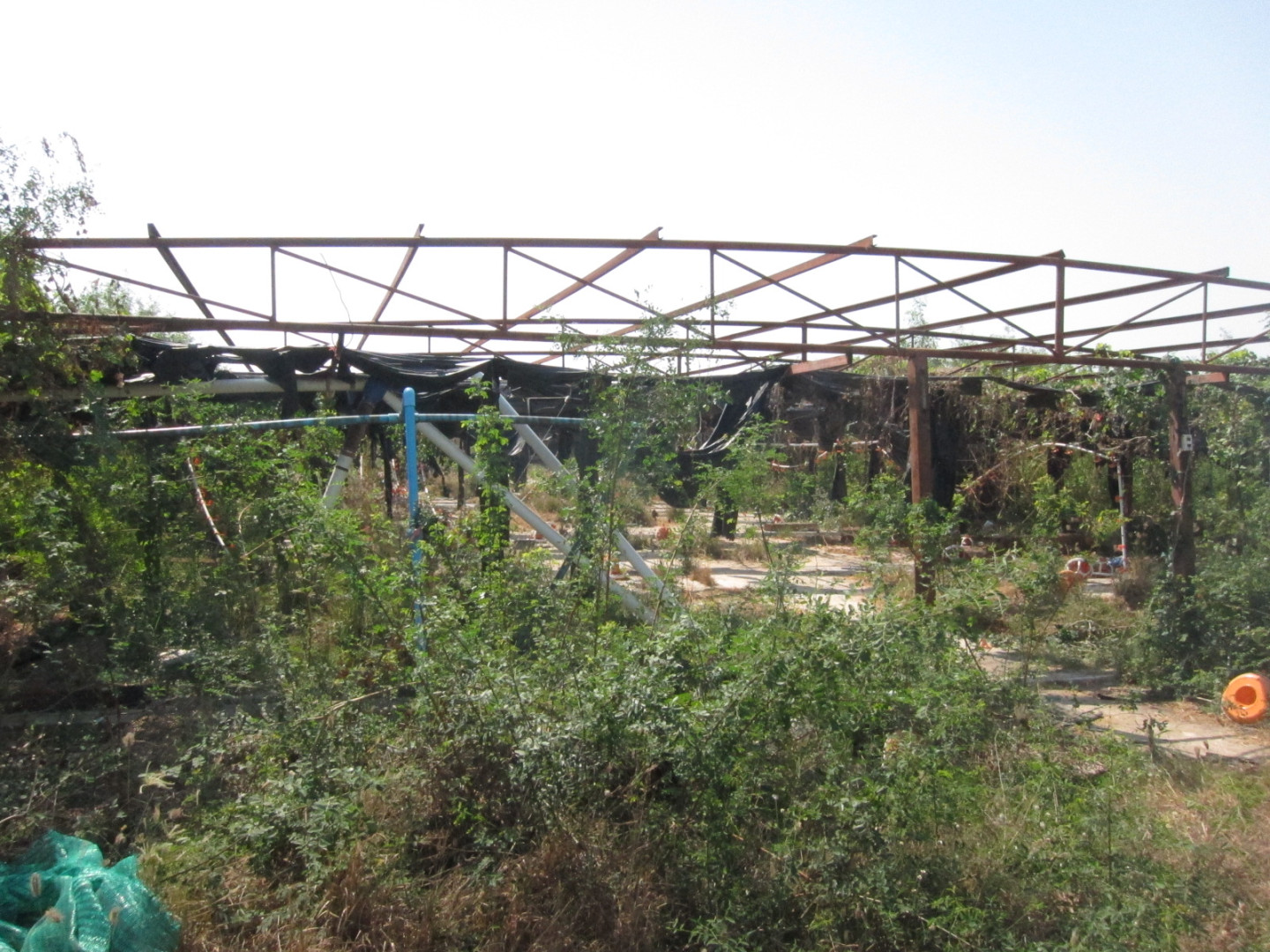 ที่ดินพร้อมสิ่งปลูกสร้าง ซอยวัดคลองหอทอง  ถนนบางหอย-วังขอน(ทล.3076)