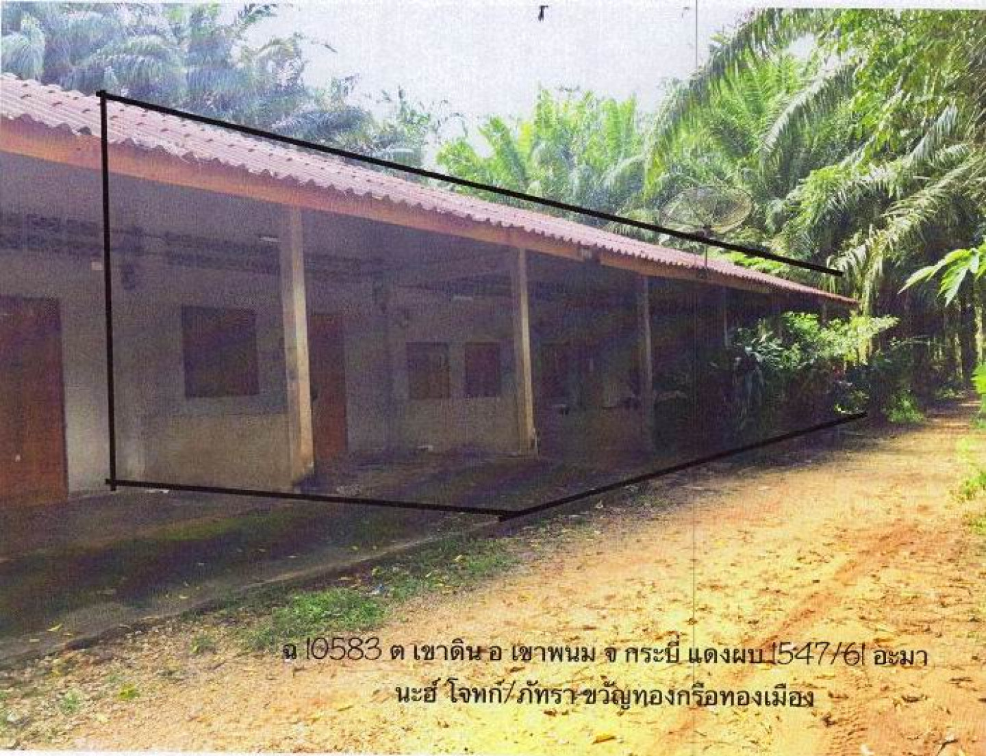 ห้องแถว