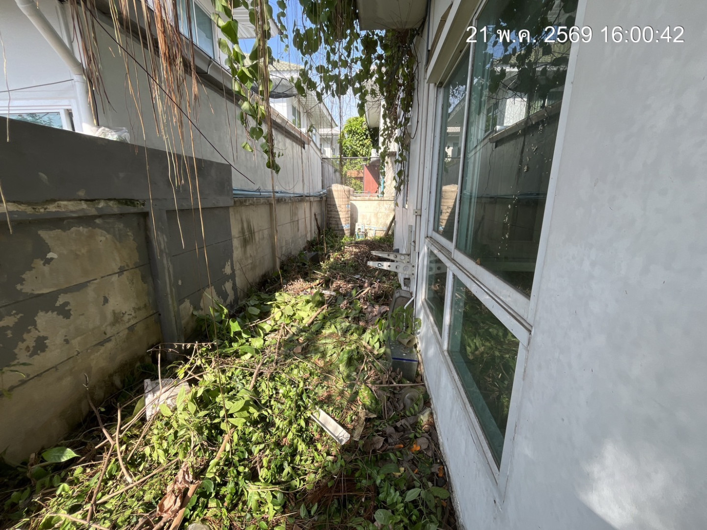 property_1779355877122.jpg