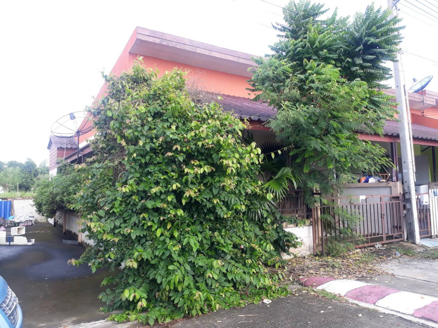 โครงการ สมาร์ทแลนด์ กรีนทาวน์  ทับ 284