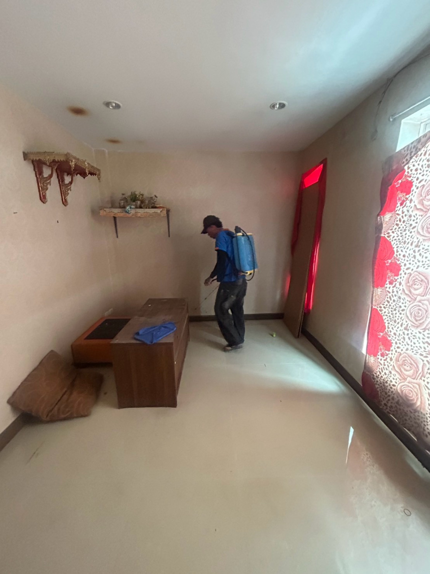 property_1786613473242.jpg