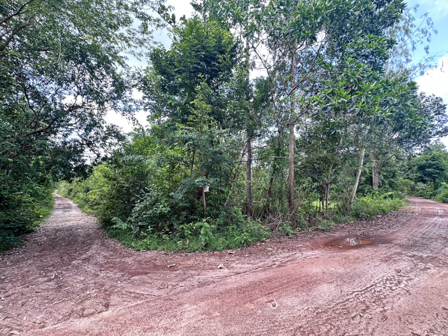 property_1789439687688.jpg