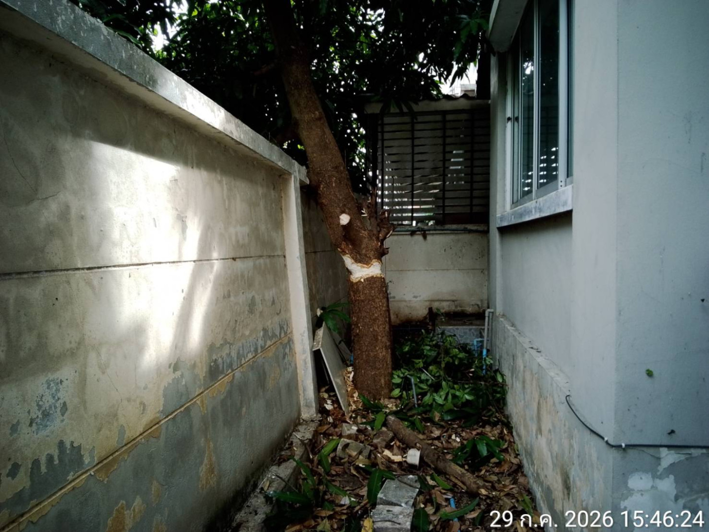 property_1785316264375.jpg