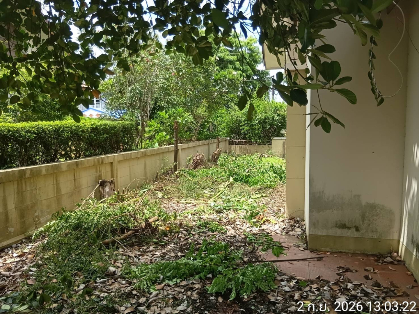 property_1788333097813.jpg