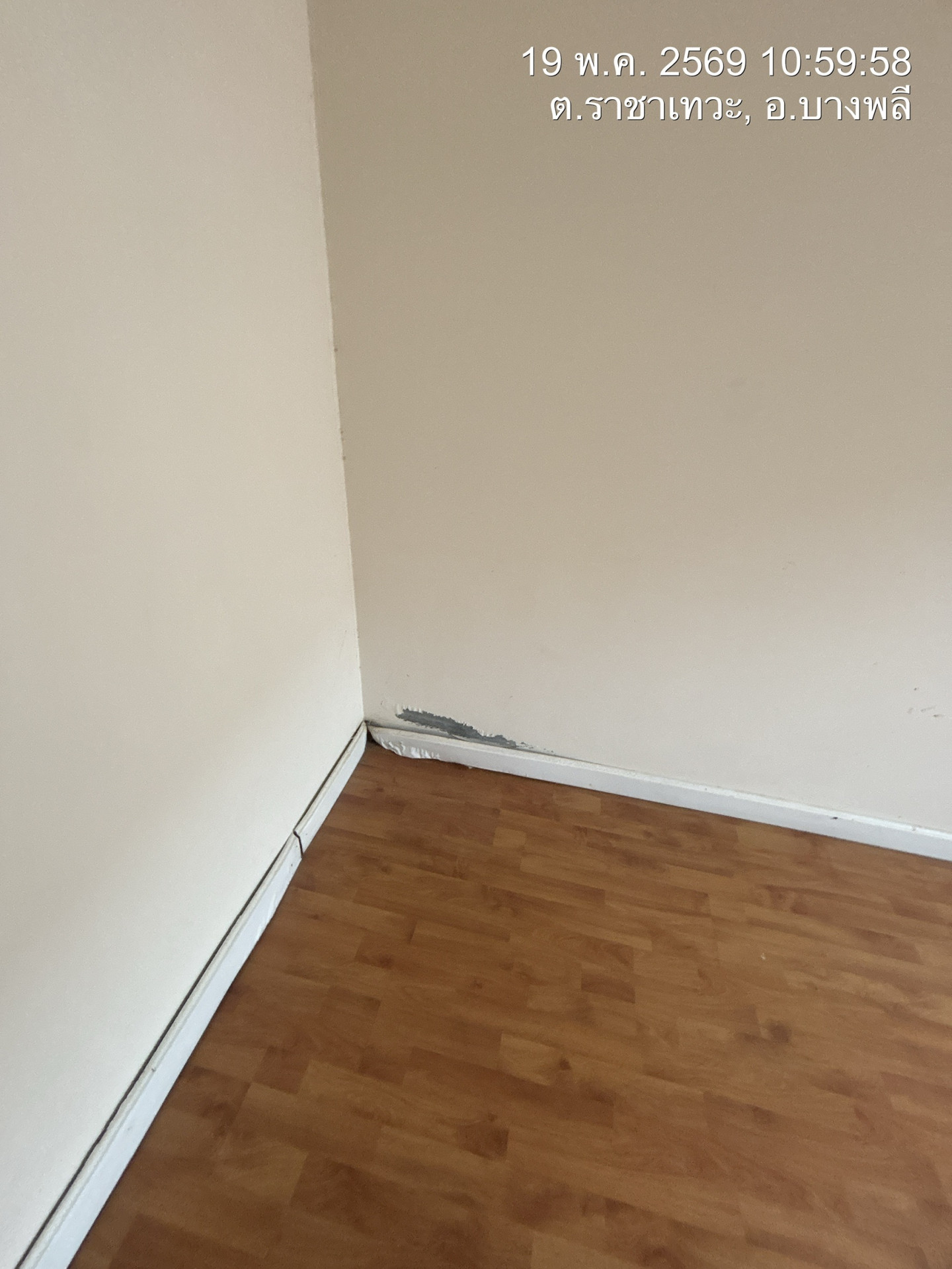 property_1779169933623.jpg