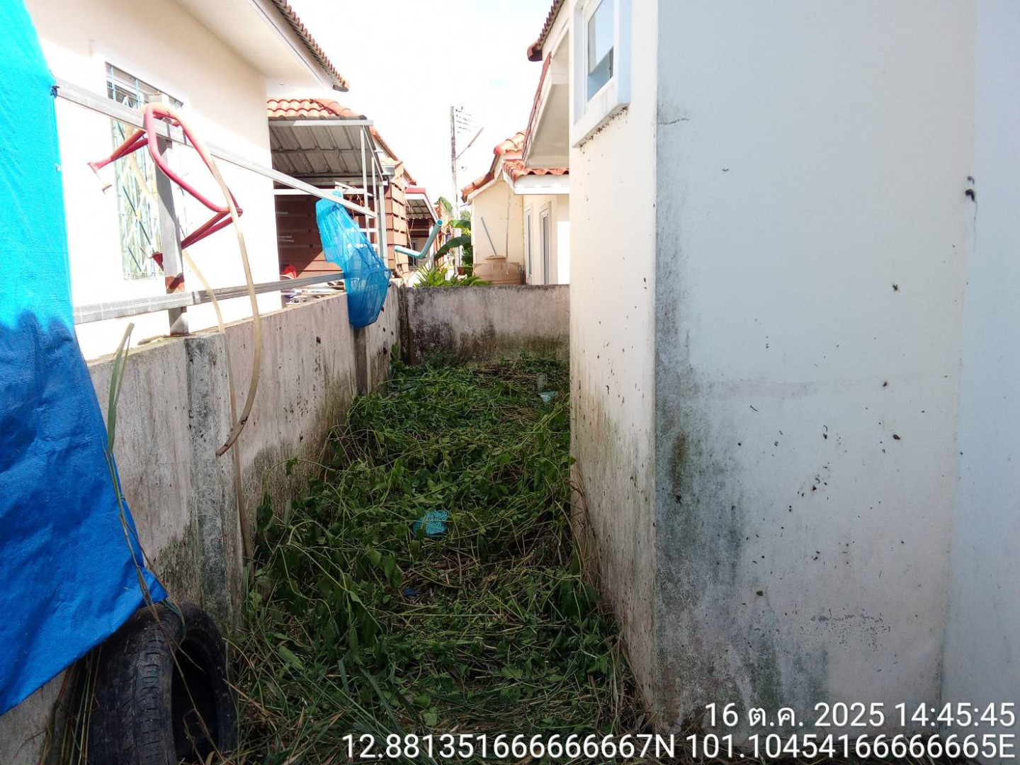 property_1760605484544.jpg