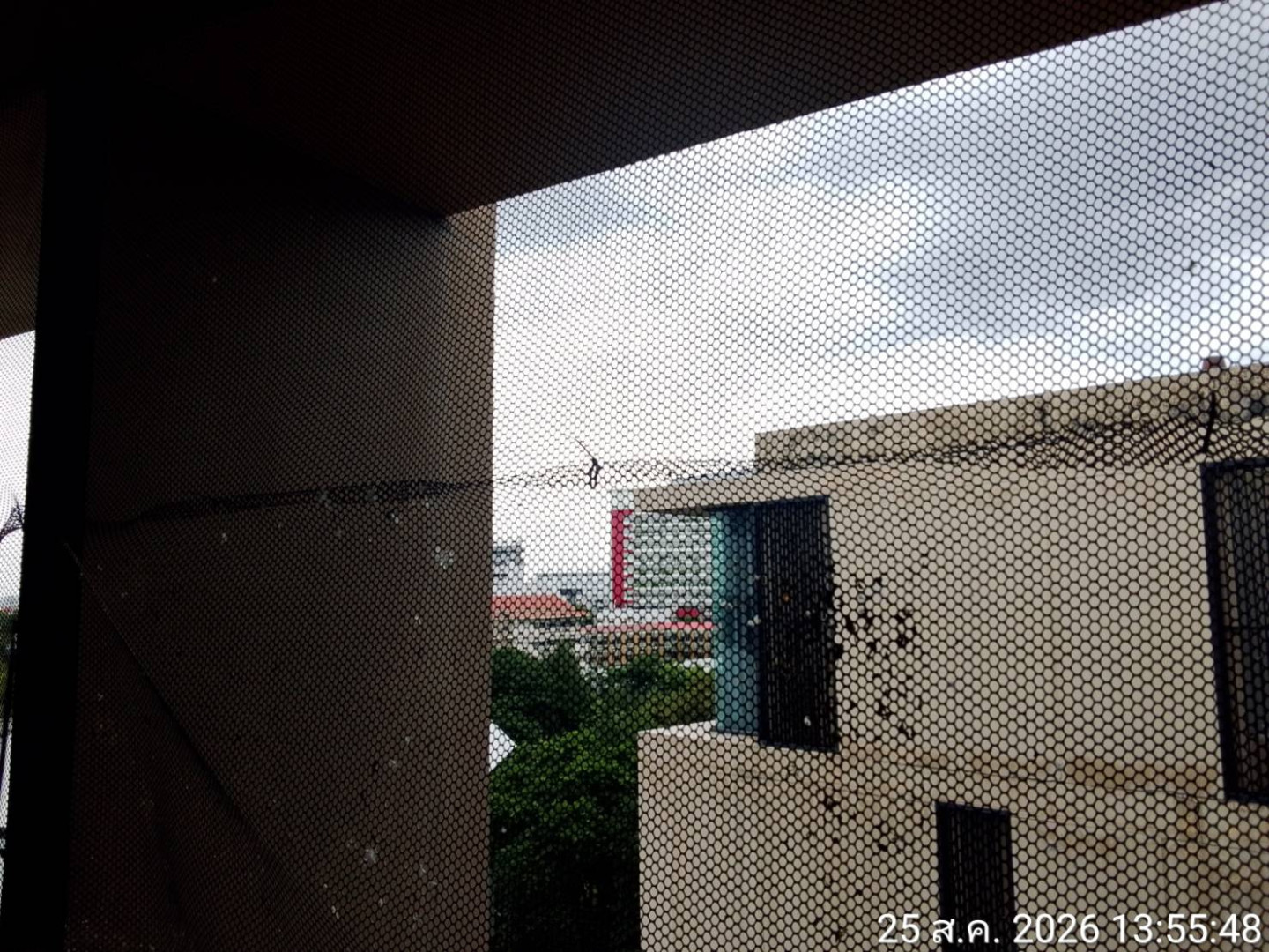 property_1787652696850.jpg