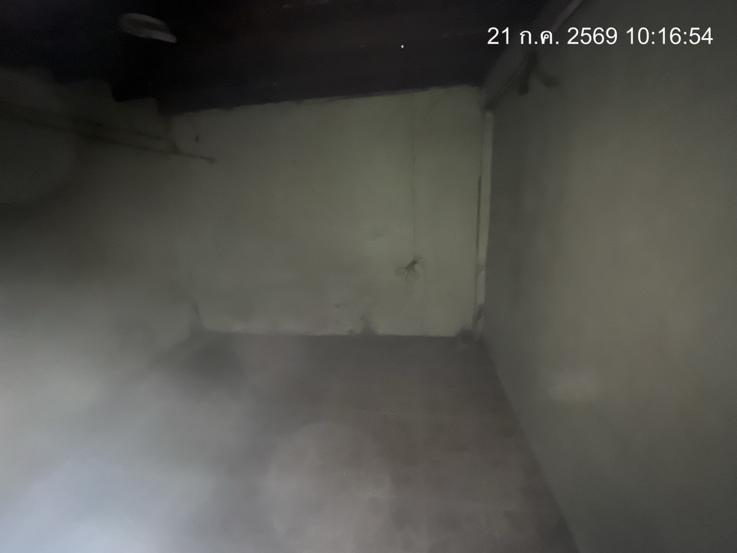 property_1784604583097.jpg