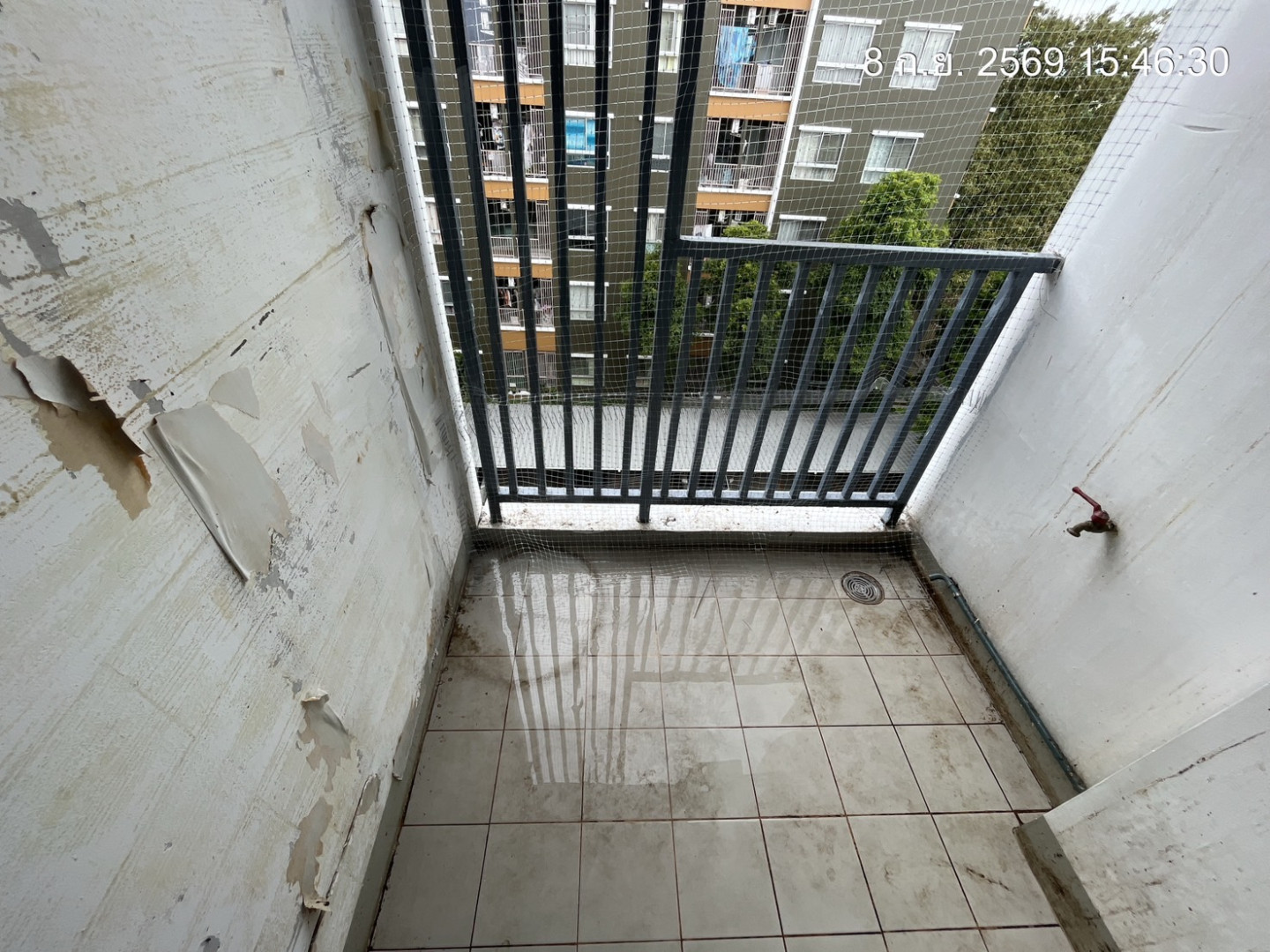 property_1788934336260.jpg