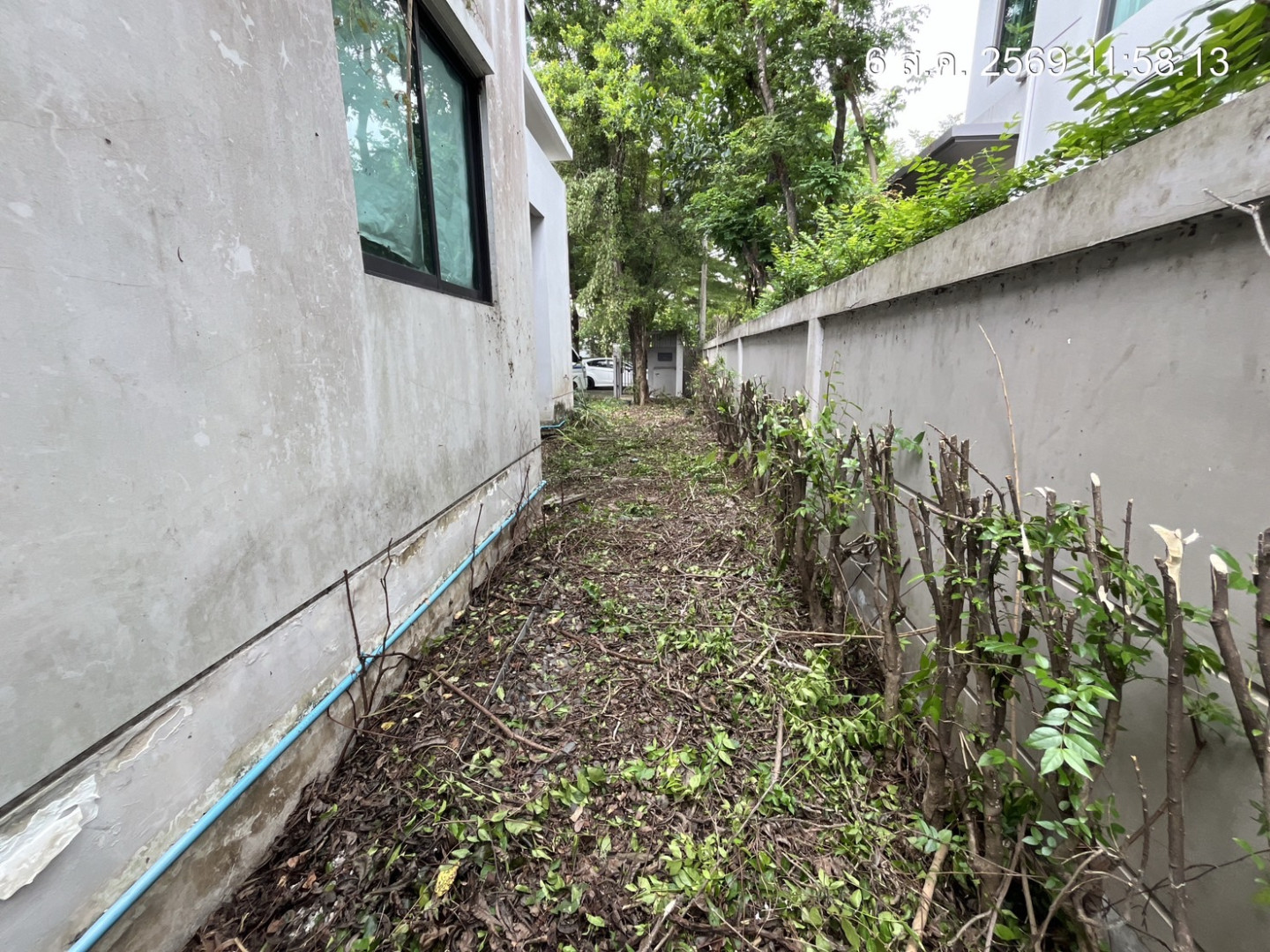 property_1785999022856.jpg