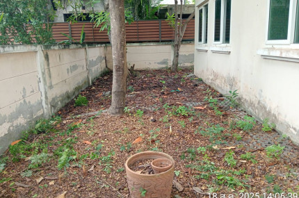 property_1755568787082.jpg